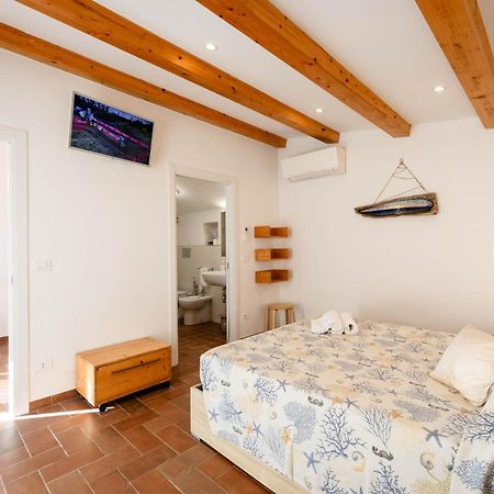Agriturismo Cupido 蒙蒂亚诺 外观 照片