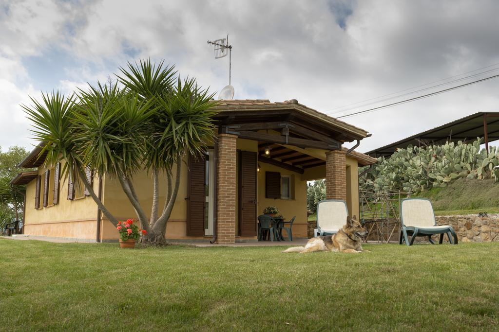Agriturismo Cupido 蒙蒂亚诺 外观 照片