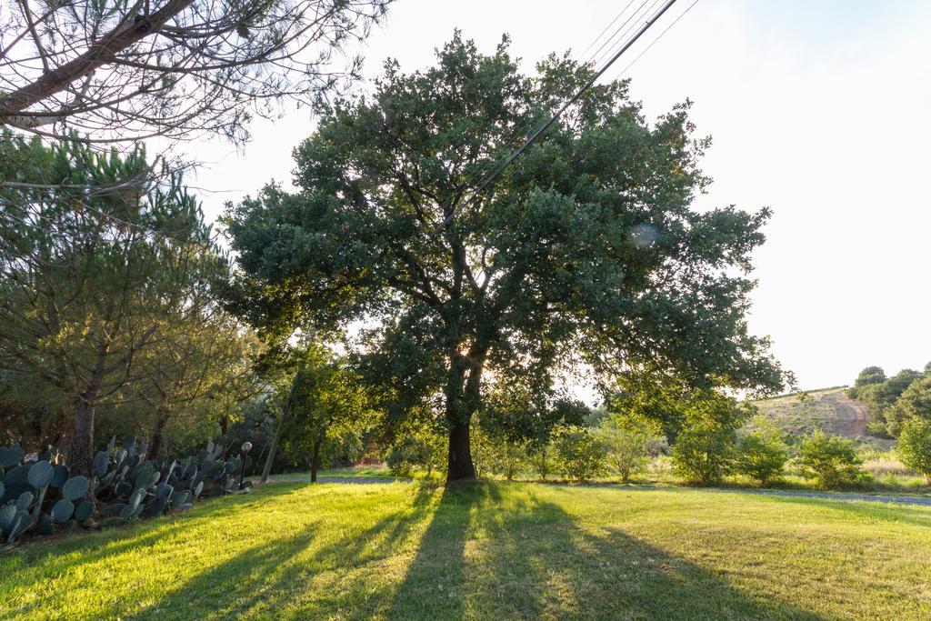 Agriturismo Cupido 蒙蒂亚诺 外观 照片