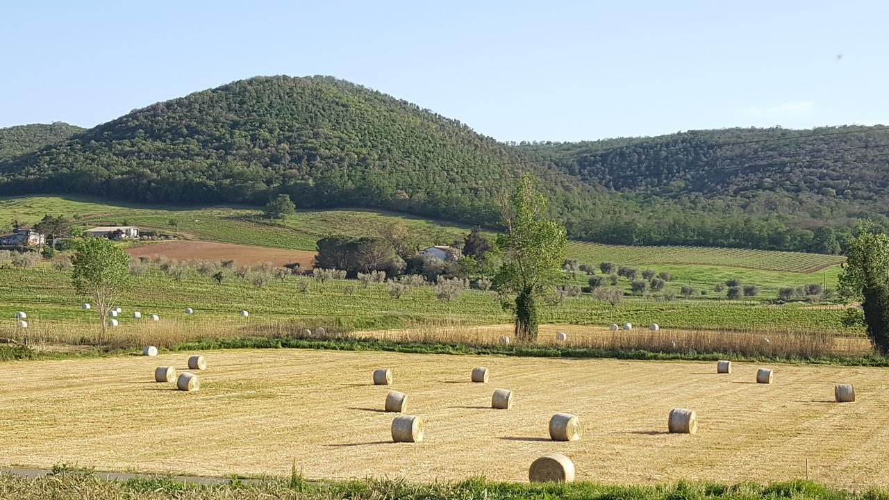 Agriturismo Cupido 蒙蒂亚诺 外观 照片